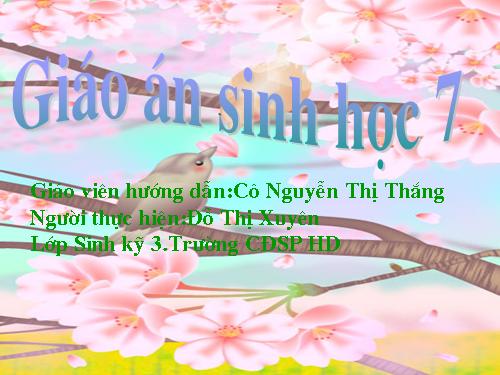 Bài 25. Nhện và sự đa dạng của lớp Hình nhện