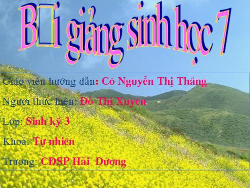 Bài 7. Đặc điểm chung và vai trò thực tiễn của Động vật nguyên sinh