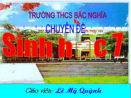 Bài 57. Đa dạng sinh học