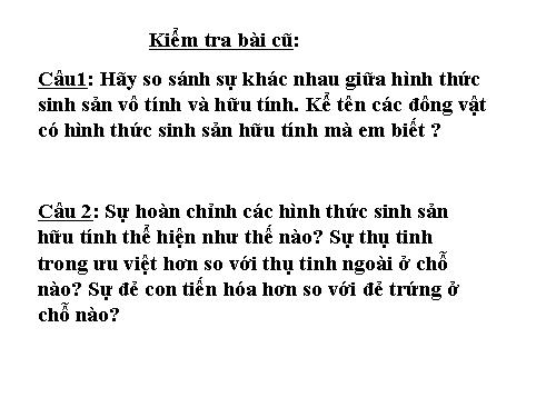 Bài 56. Cây phát sinh giới Động vật