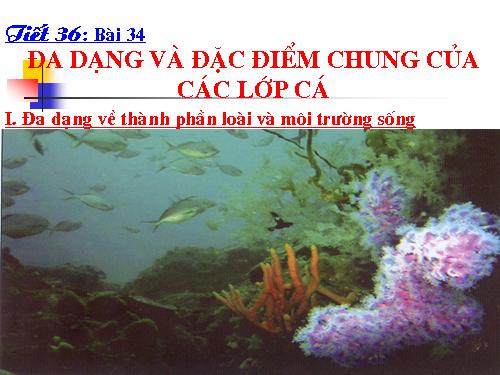 Bài 34. Đa dạng và đặc điểm chung của các lớp Cá