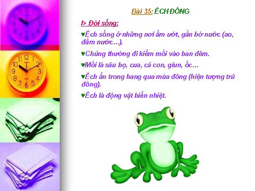 Bài 35. Ếch đồng
