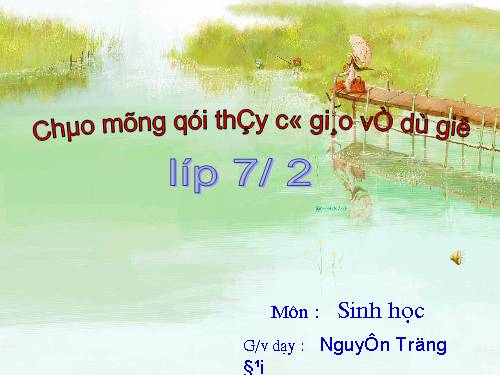 Bài 18. Trai sông