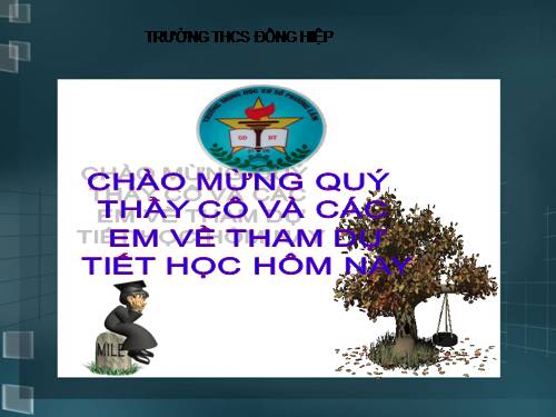 Bài 25. Nhện và sự đa dạng của lớp Hình nhện