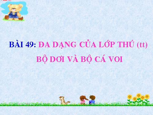 Bài 49. Đa dạng của lớp Thú: Bộ Dơi và bộ Cá voi