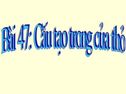 Bài 47. Cấu tạo trong của thỏ