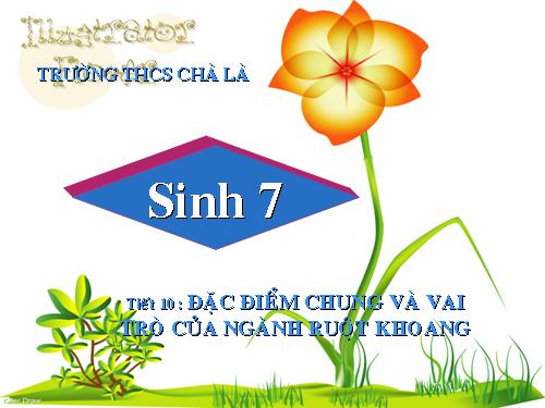 Bài 10. Đặc điểm chung và vai trò của ngành Ruột khoang