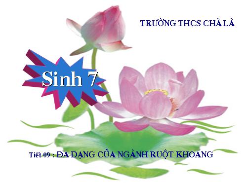Bài 9. Đa dạng của ngành Ruột khoang