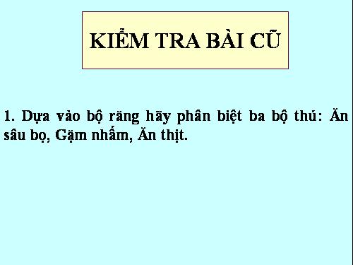 Bài 51. Đa dạng của lớp Thú: Các bộ Móng guốc và bộ Linh trưởng