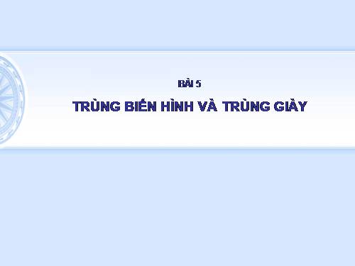 Bài 5. Trùng biến hình và trùng giày