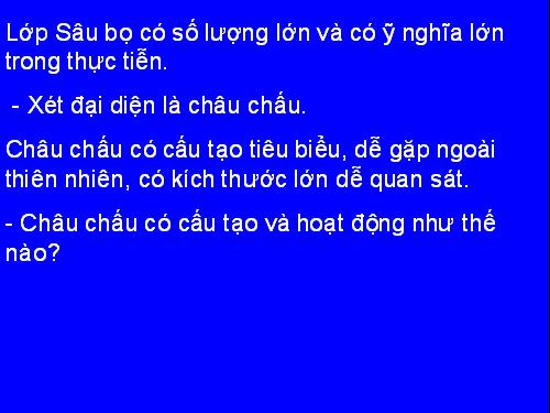 Bài 26. Châu chấu