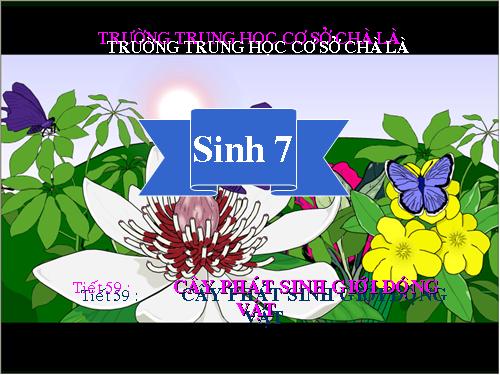 Bài 56. Cây phát sinh giới Động vật