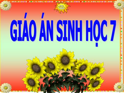 Bài 58. Đa dạng sinh học (tiếp theo)