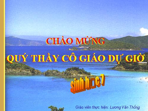 Bài 54. Tiến hoá về tổ chức cơ thể