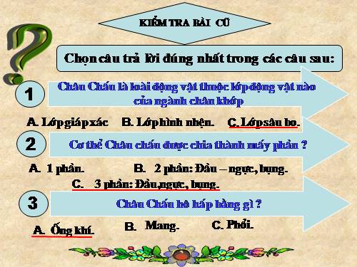 Bài 27. Đa dạng và đặc điểm chung của lớp Sâu bọ