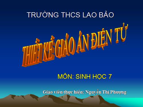 Bài 41. Chim bồ câu