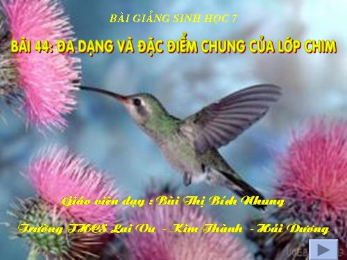 Bài 44. Đa dạng và đặc điểm chung của lớp Chim