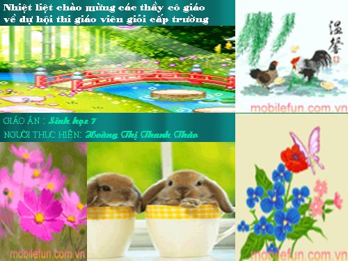 Bài 15. Giun đất
