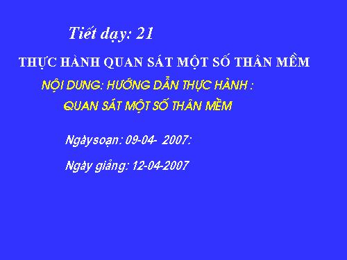 Bài 20. Thực hành: Quan sát một số thân mềm