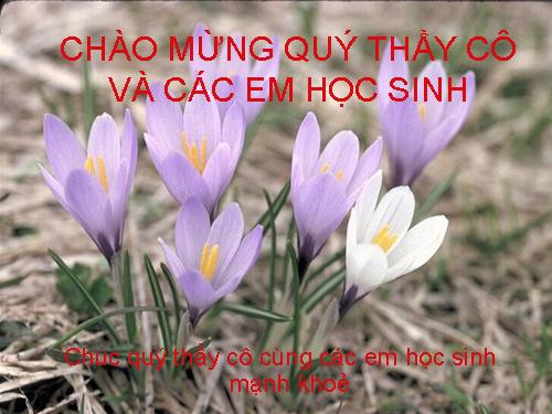 Bài 44. Đa dạng và đặc điểm chung của lớp Chim