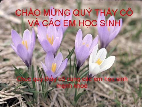 Bài 46. Thỏ