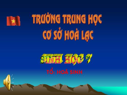 Bài 39. Cấu tạo trong của thằn lằn