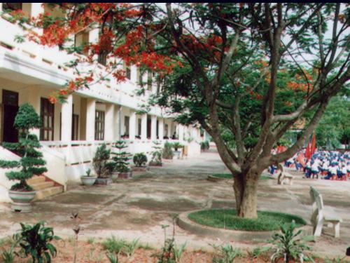 Bài 48. Đa dạng của lớp Thú: Bộ Thú huyệt, bộ Thú túi