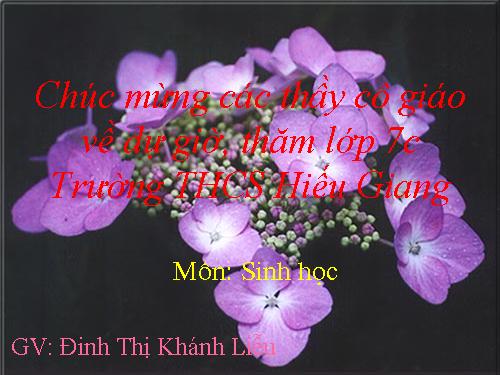 Bài 46. Thỏ