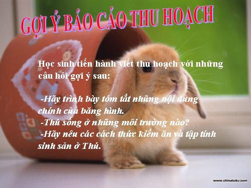 Bài 52. Thực hành: Xem băng hình về đời sống và tập tính của Thú