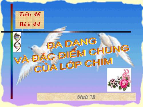 Bài 44. Đa dạng và đặc điểm chung của lớp Chim