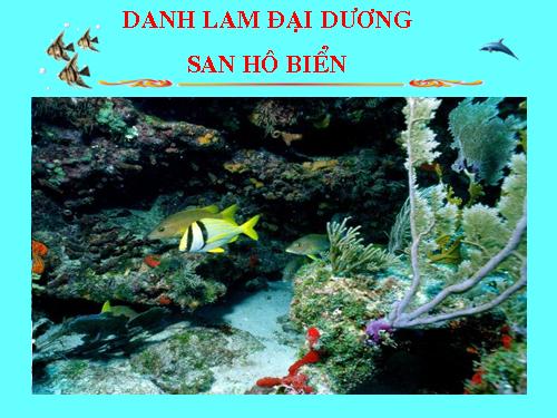 SAN HÔ
