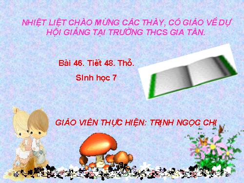 Bài 46. Thỏ
