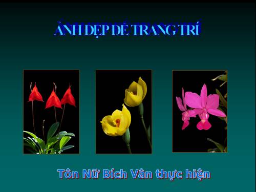 tranh 8