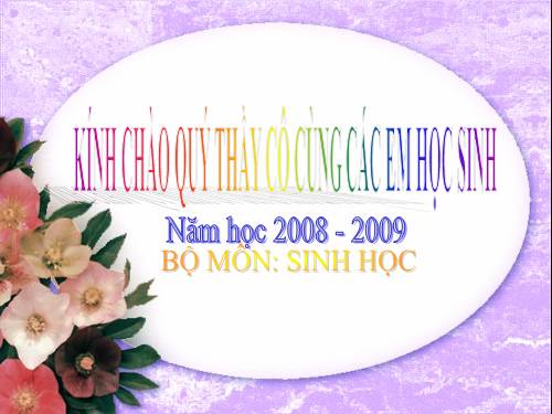 Bài 49. Đa dạng của lớp Thú: Bộ Dơi và bộ Cá voi