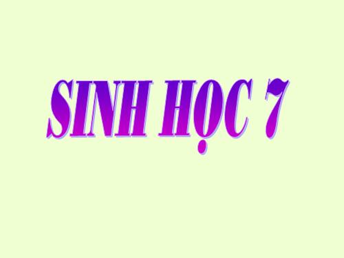 Bài 42. Thực hành: Quan sát bộ xương, mẫu mổ chim bồ câu