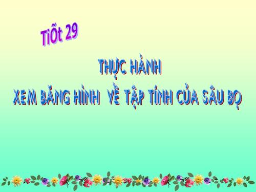 Bài 28. Thực hành: Xem băng hình về tập tính của sâu bọ