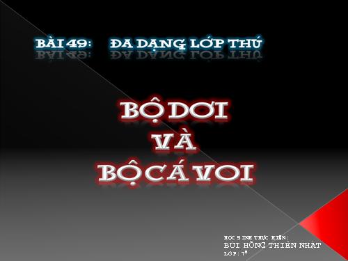 Bài 49. Đa dạng của lớp Thú: Bộ Dơi và bộ Cá voi