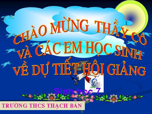 Bài 25. Nhện và sự đa dạng của lớp Hình nhện