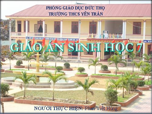 Bài 41. Chim bồ câu