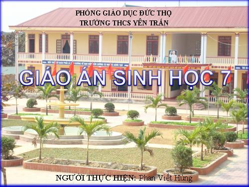 Bài 44. Đa dạng và đặc điểm chung của lớp Chim