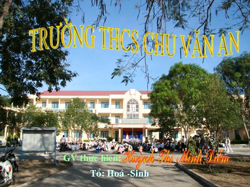 Bài 54. Tiến hoá về tổ chức cơ thể