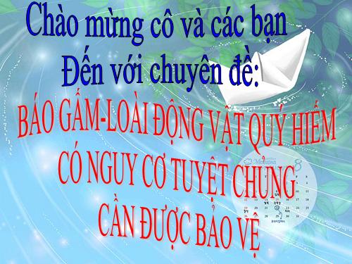 BÁO GẤM