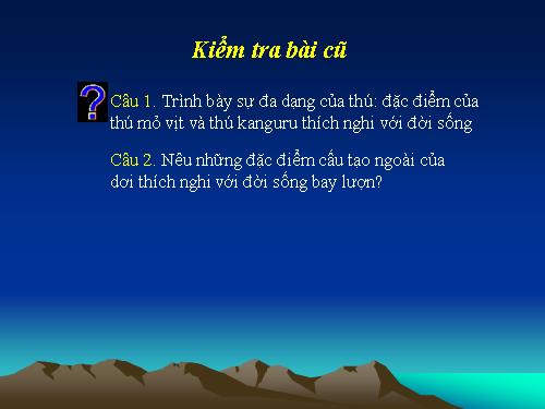 Bài 49. Đa dạng của lớp Thú: Bộ Dơi và bộ Cá voi