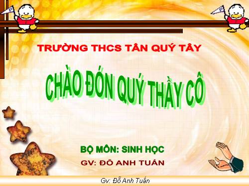 Bài 41. Chim bồ câu