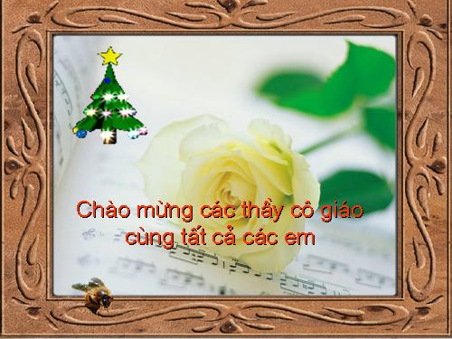 Bài 15. Giun đất