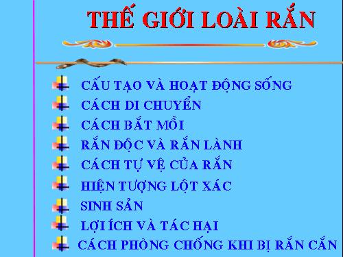 Thế giới của loài rắn