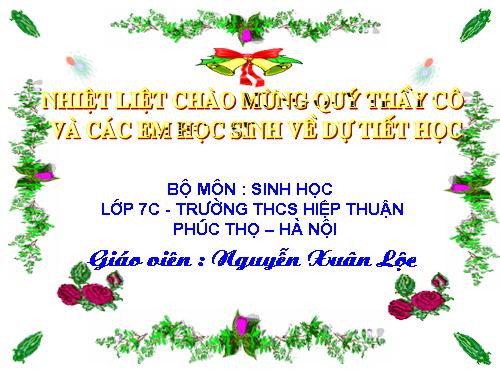 Bài 47. Cấu tạo trong của thỏ
