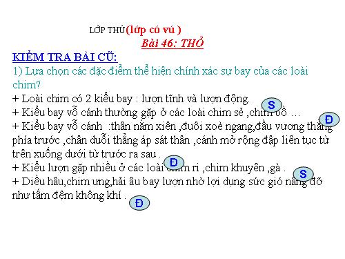 Bài 46. Thỏ