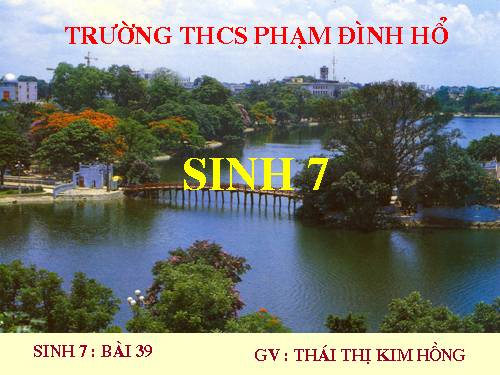 Bài 39. Cấu tạo trong của thằn lằn
