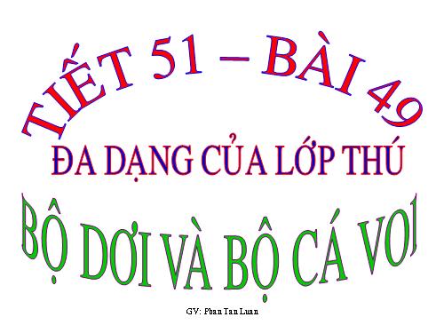 Bài 49. Đa dạng của lớp Thú: Bộ Dơi và bộ Cá voi
